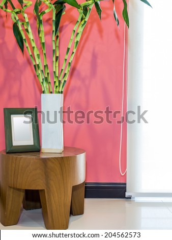 Colorful modern living room with vase of Lucky bamboo (asian feng-shui)