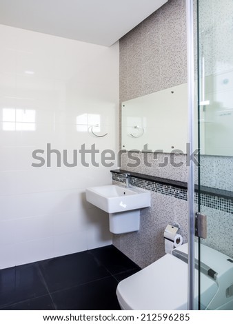 Modern interior toilet with water closet and lavatory