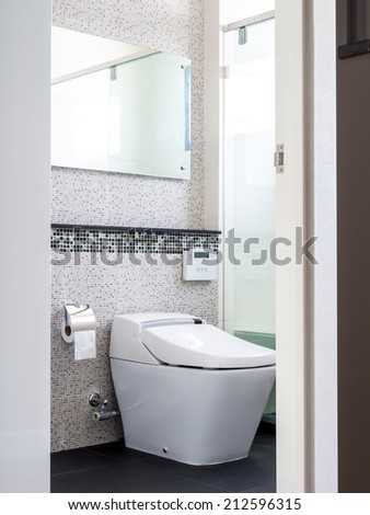 Modern interior toilet with water closet