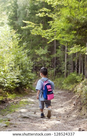 Small child boy walking or hiking on a path through the forest, back view.