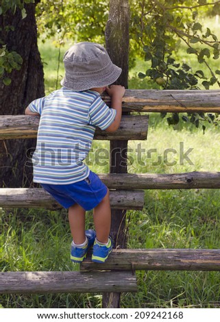 Child boy climbing over wooden fence into a garden or orchard, back view.