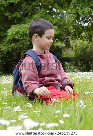 Child picking wild daisy flowers on a lawn or meadow or a wild garden in spring.