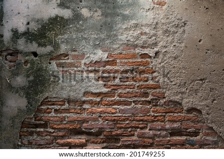 Worn out brick wall with mold