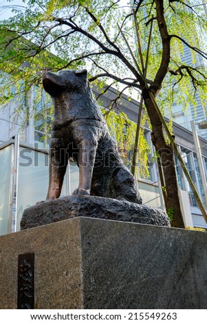TOKYO, JAPAN - CIRCA MAY, 2014:  Hachiko statue of a famous royal dog of the same name. The statue is located in front of Shibuya station
