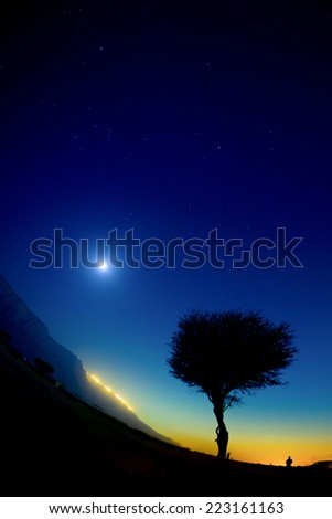 Dreamy landscape of moon and a giant tree