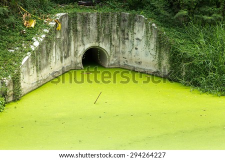 Dirty green toxic water contaminated with algae