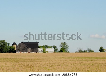 wooden barn in farmers field