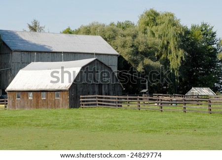 Agricultural buildings and pasture, Summer scene