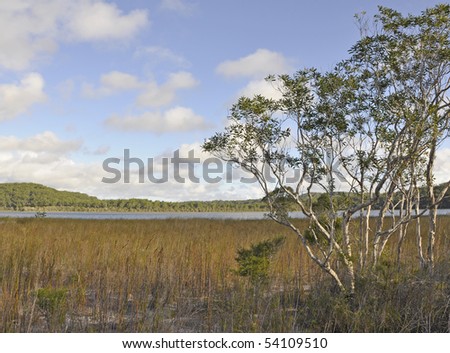 Lake Birrabeen beautiful nature, Fraser Island Queensland Australia