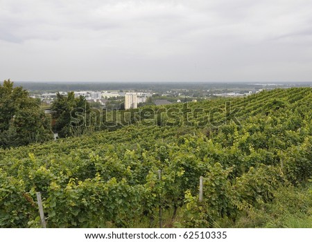 View from Schutterlindenberg a German wine region towards Dinglingen Industrial area, Lahr Germany