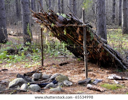 primitive shelter in the woods