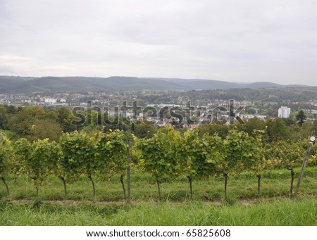 View from Schutterlindenberg a German wine region towards Dinglingen, Lahr Germany