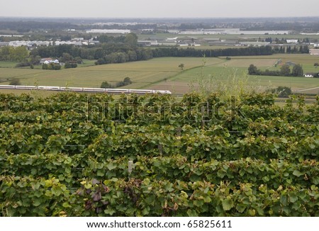 View from Schutterlindenberg a German wine region towards the industrail area with Airport Lahr Germany