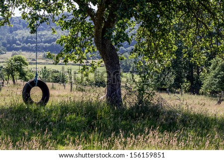 Tyre Swing on Tree in Devon Countryside