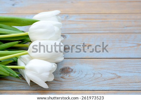 Fresh white tulips on old knotted grey blue texture wood
