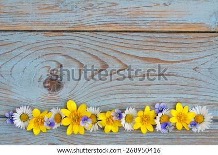 Blue grey knotted wood with field flowers, buttercups and daisies, empty space for text and photo in summer spring style
