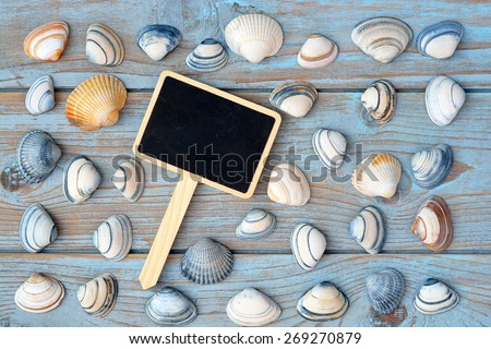 grey blue knotted wooden background with striped sea shells and black chalk board with empty space