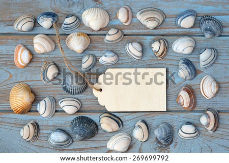 grey blue old knotted wooden background with empty wooden label and sea shells