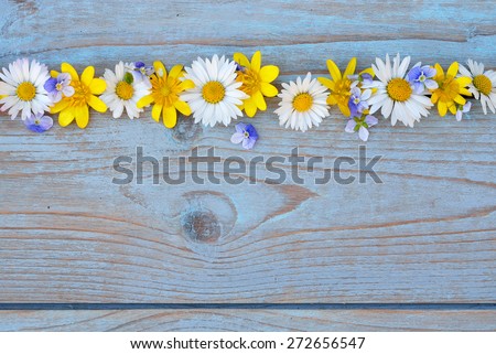 Blue grey knotted wood background with  a row field flowers, daisies and  buttercups and empty space