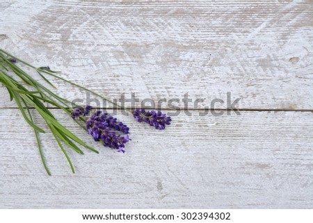 Old white leaved paint wooden horizontal  shelves background with blue purple lavender flowers with empty copy space