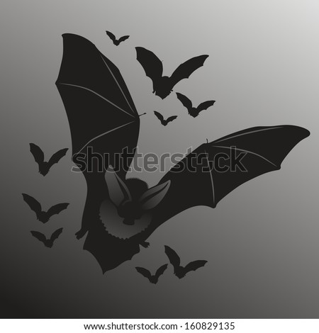 illustration of flying bats in the dark