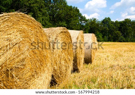 picture of straw bales on a field