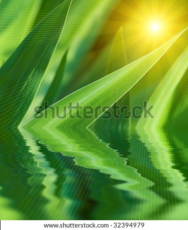 plant in water, illuminated bright sun
