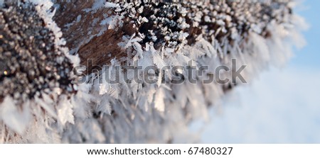 Beautiful frost up close. Picturesque photographs depicting winter in all its glory.