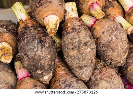taro root pile in the market