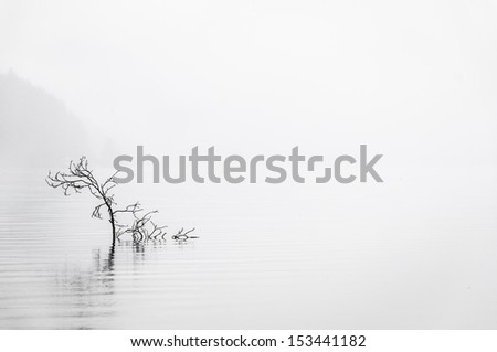 Calm water in the early morning fog
