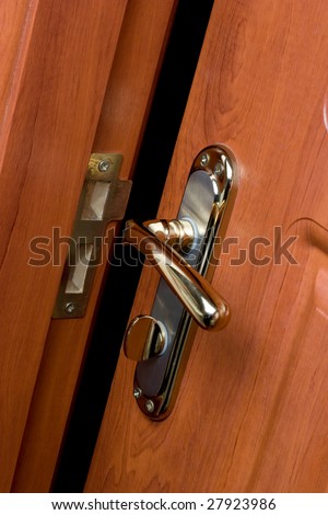 Wooden doors in the private apartment
