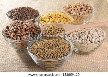 A wooden spoon of lensil and glass bowls of mignon lentils, lentils, fava beans, white beans, Borlotti beans and chickpeas