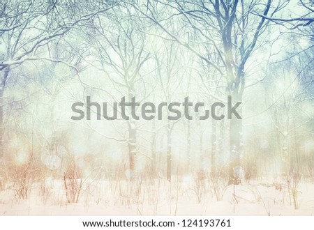 Winter landscape.