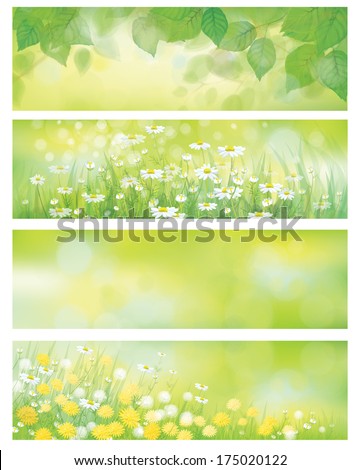 Vector  spring nature banners, birch  tree leaves,  dandelion and chamomile.