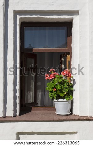 pots of geraniums on the window of an old house