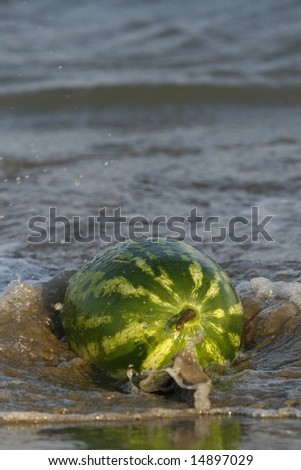 a green melon in the sea in order to get freeze