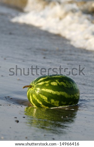 a melon in the sea in order to get cold