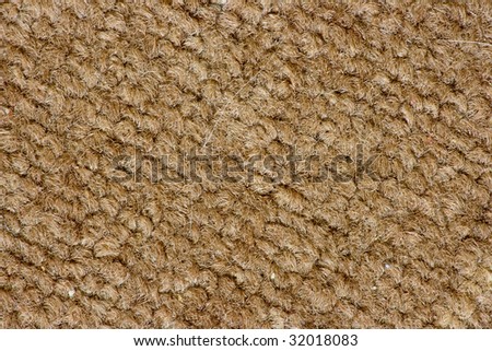 Brown Berber Carpet