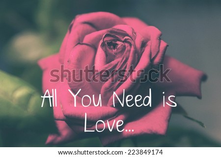 All You Need is Love / Romance Quote Design with Red Rose Background