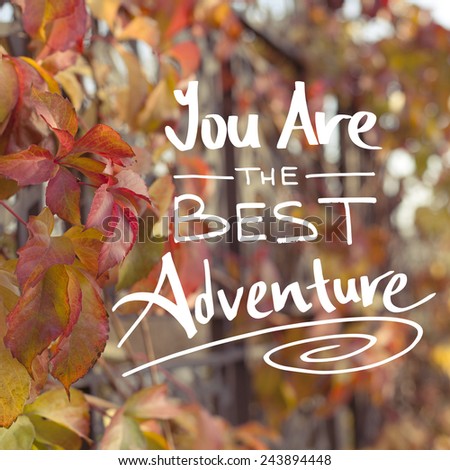 You Are The Best Adventure