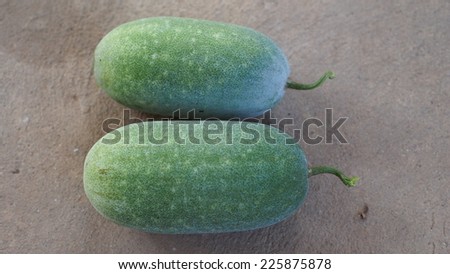 Two winter melons on the floor