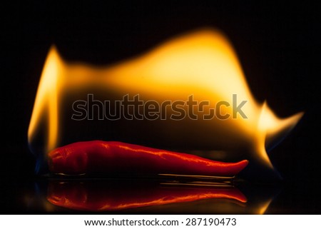 isolate fire on red chilli on black ground