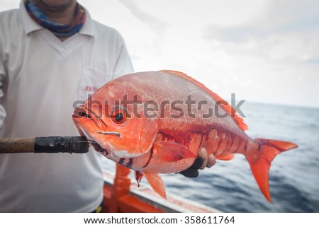 fisherman holding red fish on the fishing boat