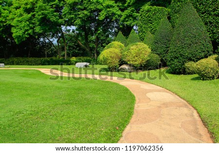 garden in summer and green lawn landscape with trees.