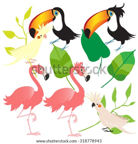 vector exotic birds and leaf icons set. cockatoo, toucan, corella, flamingo.