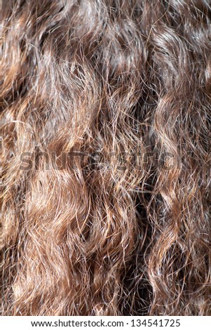 curly hair closeup. Hair background. Closeup of wavy hair, vertical composition. long brown hair as background Natural human hair