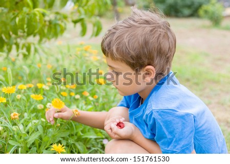 Boy sitting in the garden and playing with yellow flowers. Smiling pretty little boy and daisys. Boy having fun with yellow flowers. 7 years old boy in blue t-shirt in the garden.