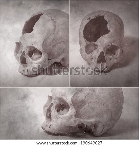 Retro looking spooky skull collage of a three images sepia toned