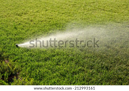 Sprinkler watering new lawn. Sprinkler system working on fresh green grass.