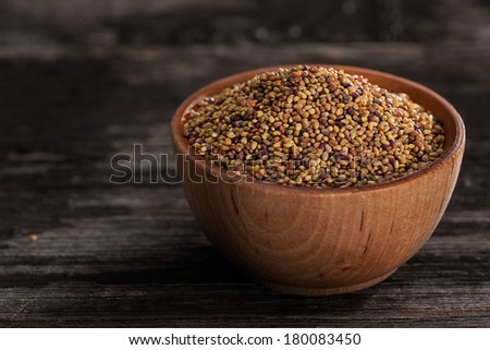 Close-up of Red Clover Sprouting Seeds in a Wooden bowl